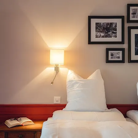 The Rex Otel 4*