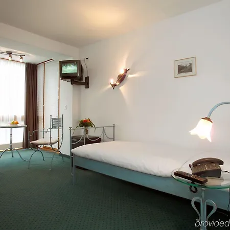 The Rex Otel