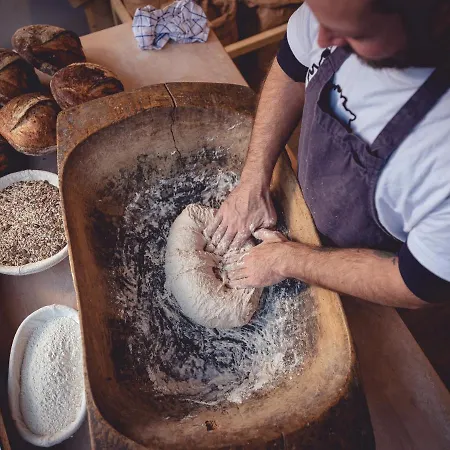 The Rex Ζερμάτ