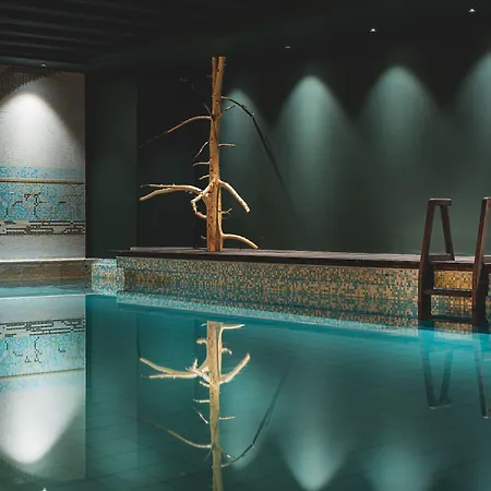 Otel The Rex Zermatt