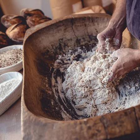 The Rex Ξενοδοχείο 4*